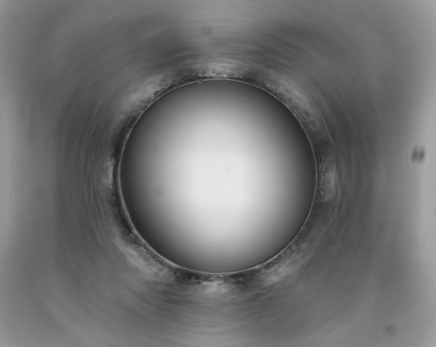 X0000094170310200710261115