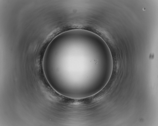 X0000094170312200710261115