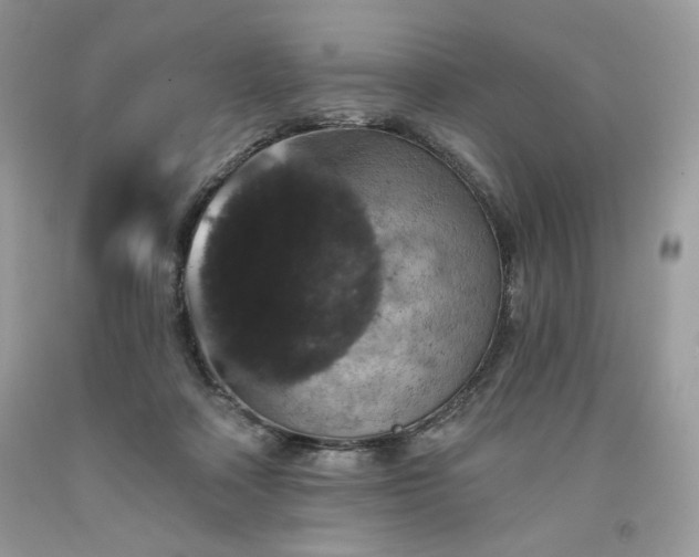 X0000094170314200710261115