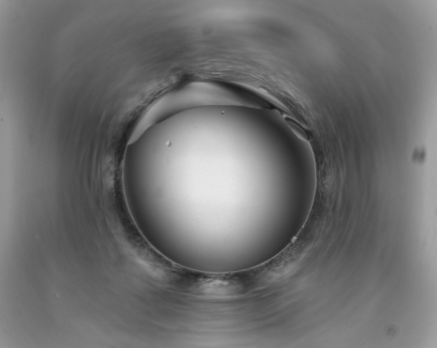 X0000094170315200710261115