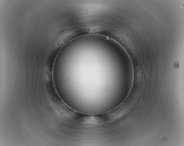 X0000094170316200710261115