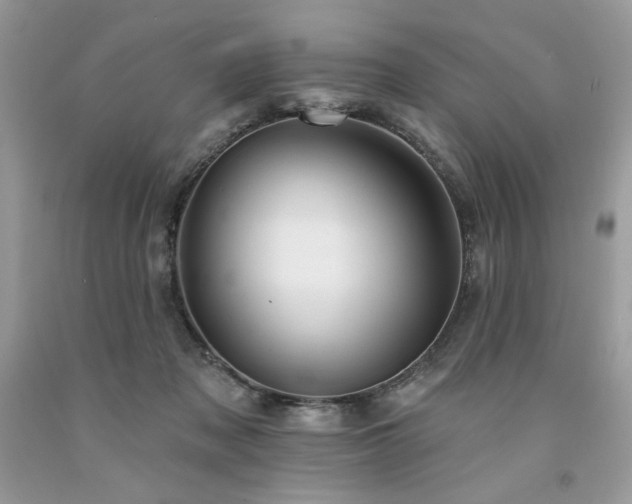 X0000094170317200710261115