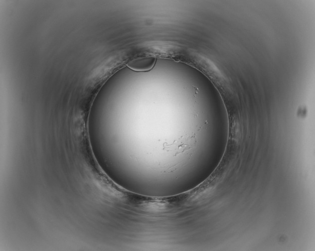 X0000094170318200710261115