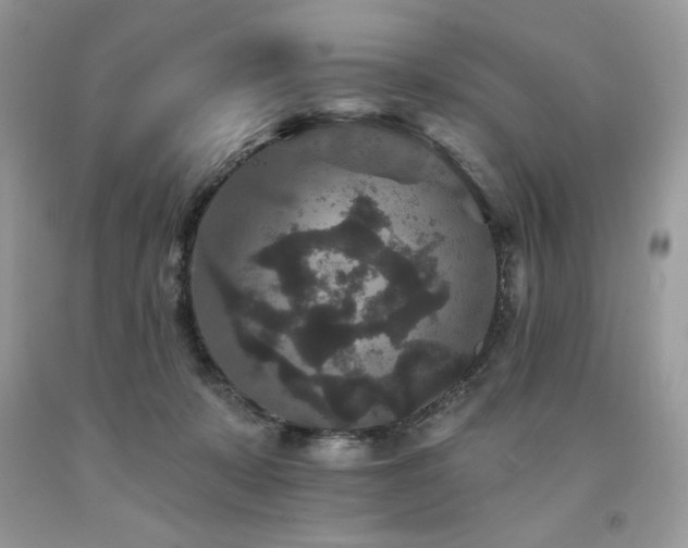 X0000094170319200710261115