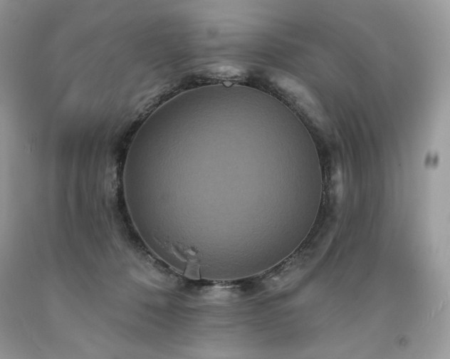 X0000094170320200710261115