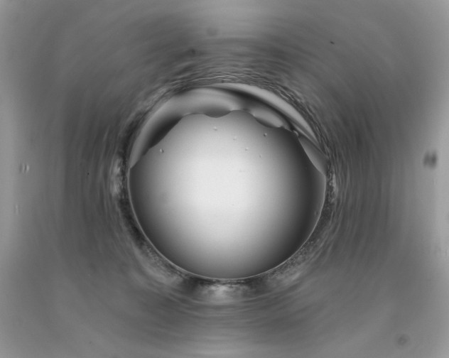 X0000094170323200710261115