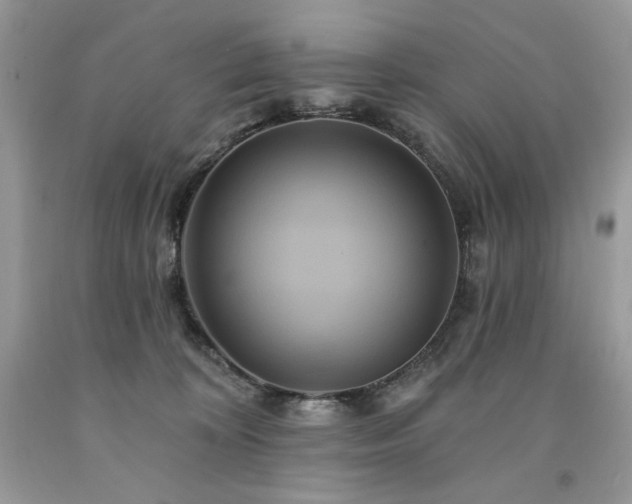 X0000094170324200710261115