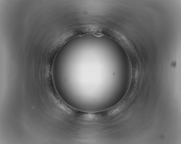 X0000094170326200710261115