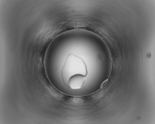 X0000094170327200710261115