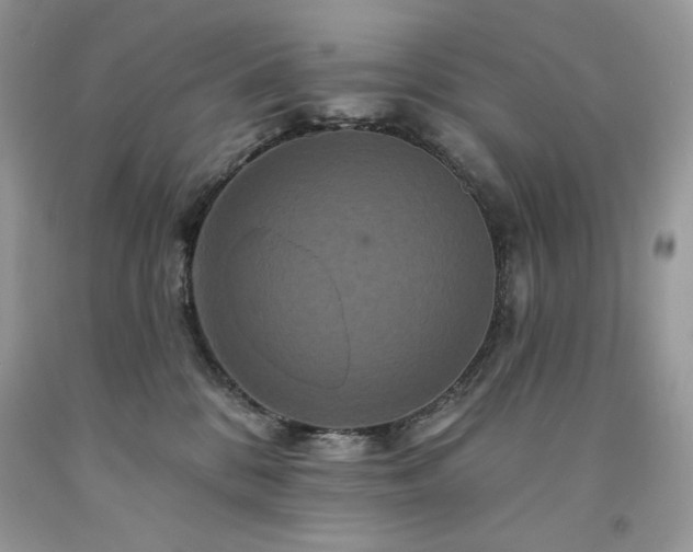 X0000094170328200710261115