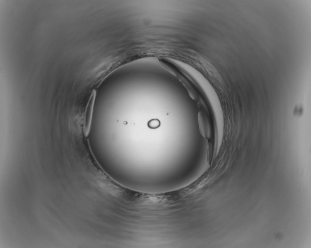 X0000094170329200710261115