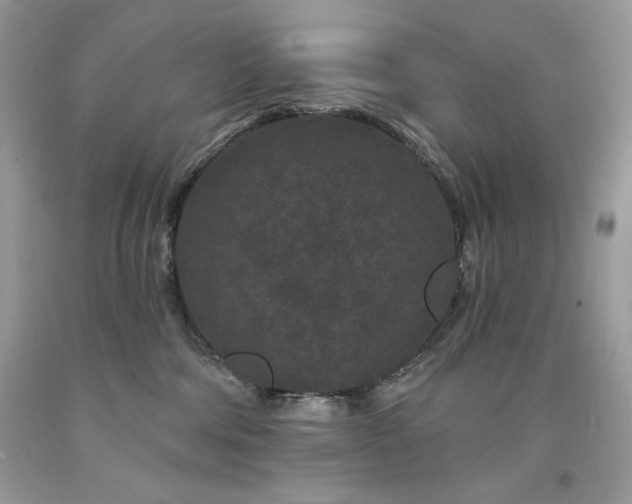 X0000094170330200710261115