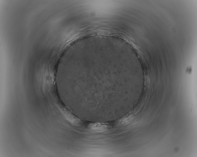X0000094170331200710261115