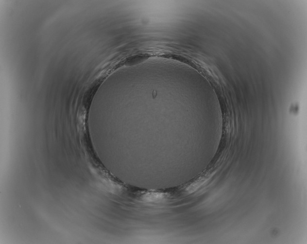 X0000094170332200710261115