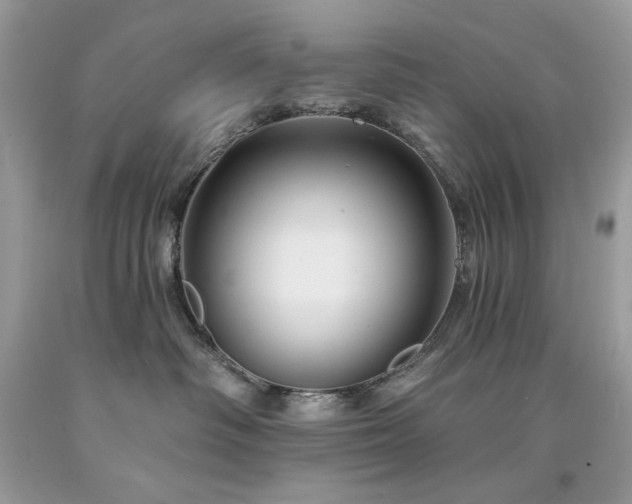 X0000094170334200710261114