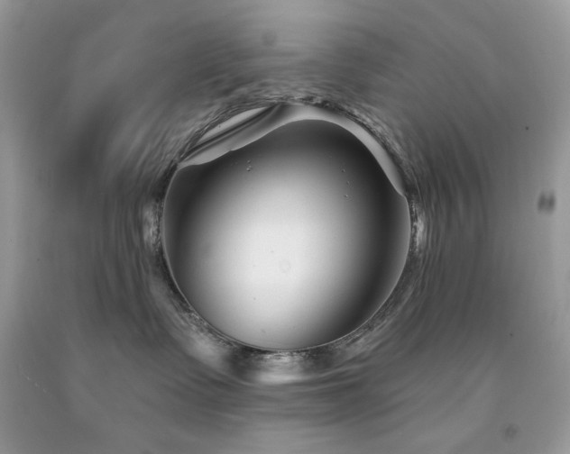 X0000094170335200710261114