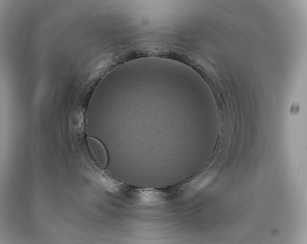 X0000094170336200710261114