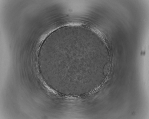 X0000094170337200710261114
