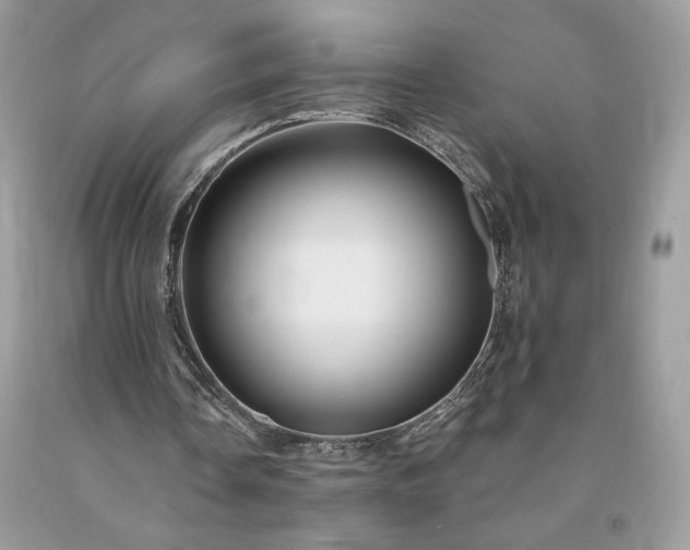 X0000094170338200710261114
