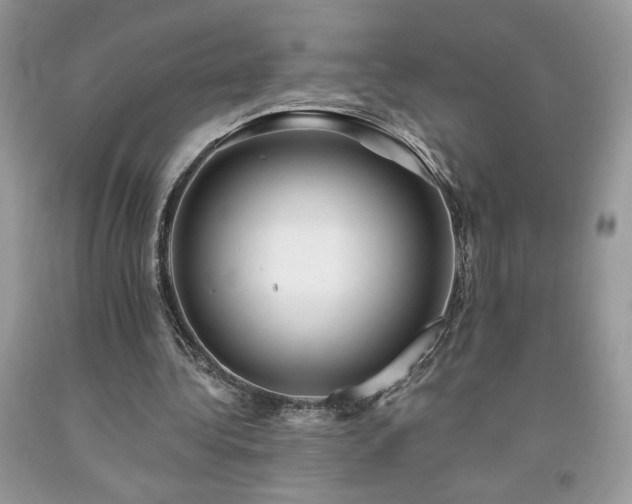 X0000094170340200710261114