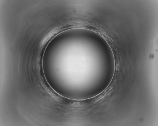 X0000094170341200710261114