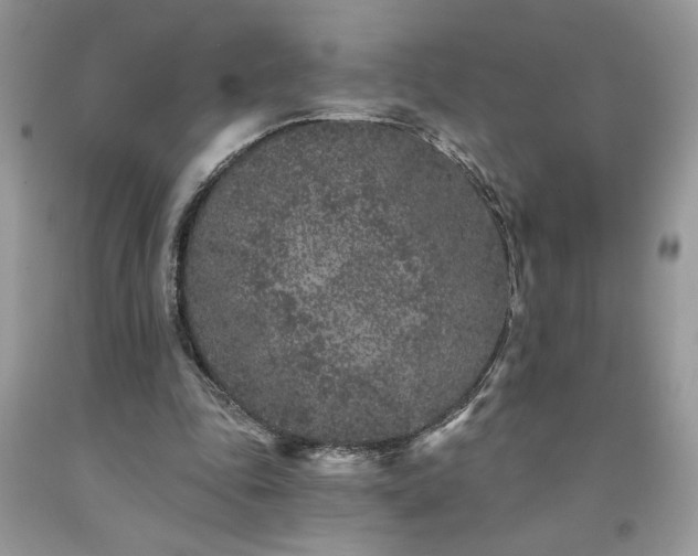 X0000094170343200710261114