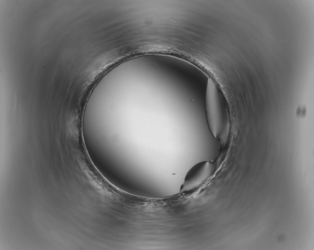 X0000094170345200710261114