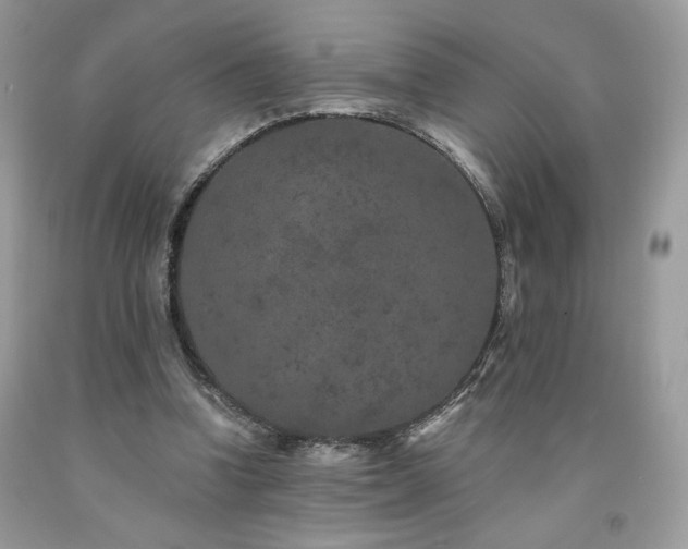 X0000094170346200710261114