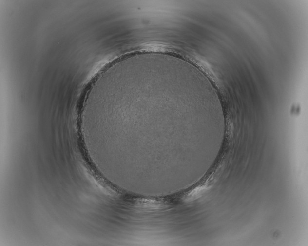 X0000094170347200710261114