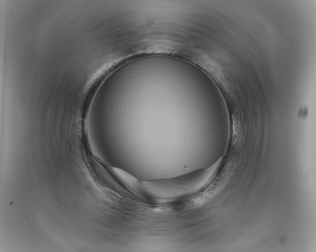 X0000094170348200710261114