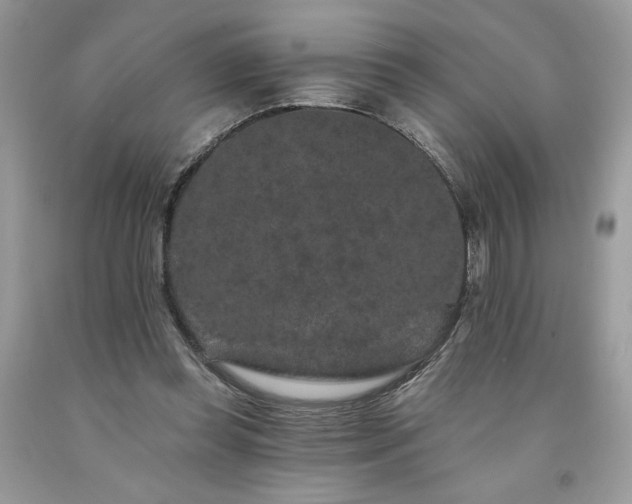 X0000094170349200710261114