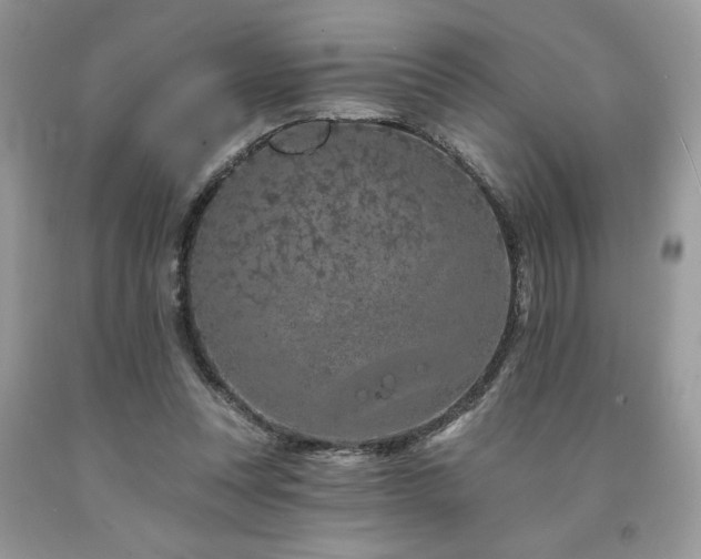X0000094170351200710261114