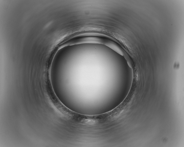 X0000094170352200710261114