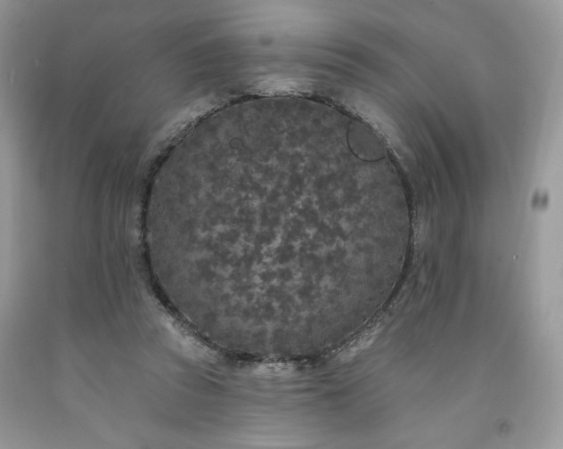X0000094170353200710261114