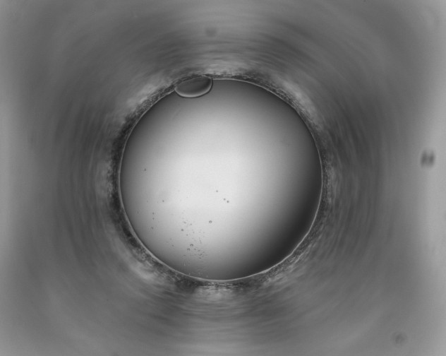 X0000094170354200710261114