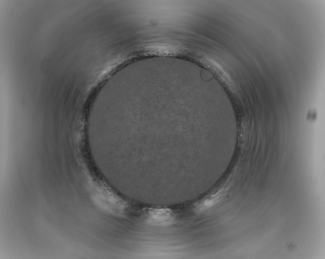 X0000094170355200710261114