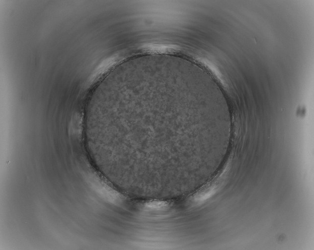 X0000094170357200710261114