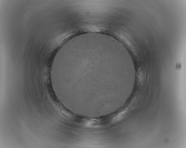 X0000094170359200710261114