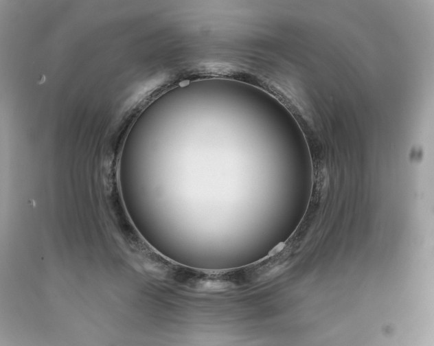 X0000094170360200710261114
