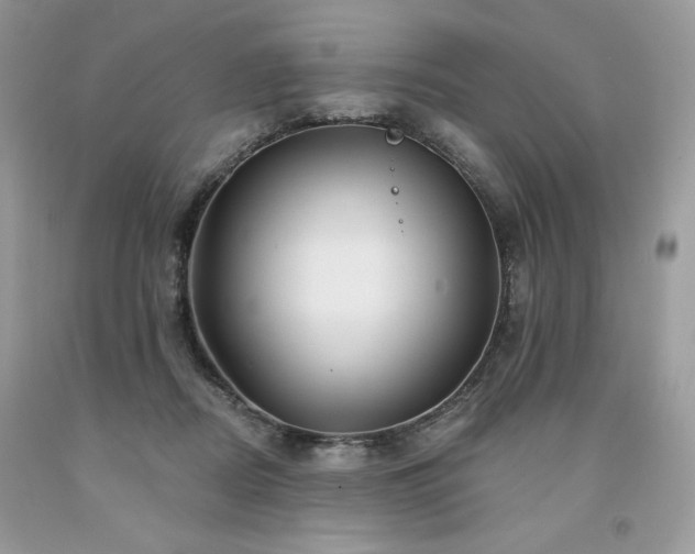 X0000094170362200710261114