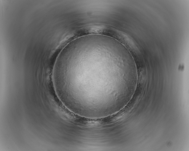 X0000094170363200710261114