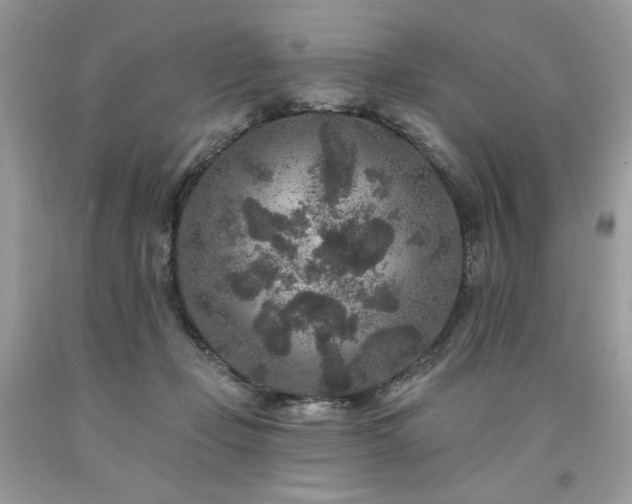 X0000094170365200710261114