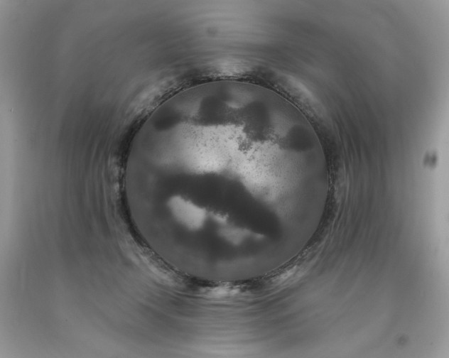 X0000094170366200710261114