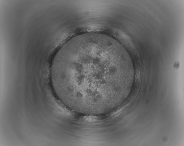 X0000094170367200710261114