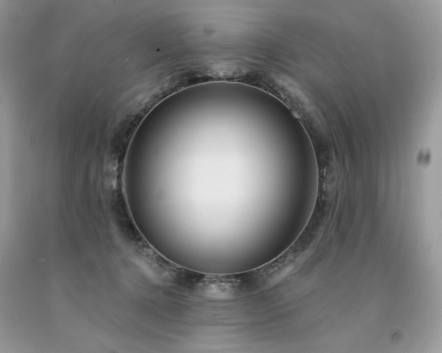 X0000094170368200710261114