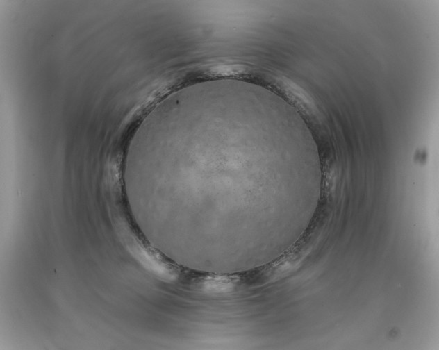 X0000094170373200710261114