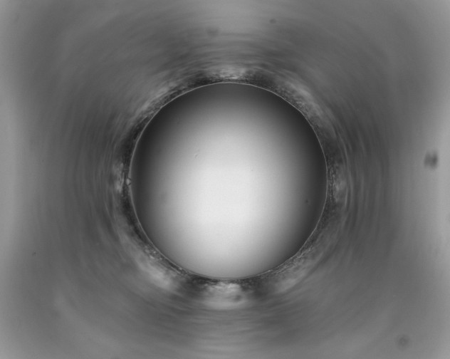 X0000094170374200710261114