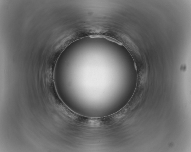 X0000094170376200710261114