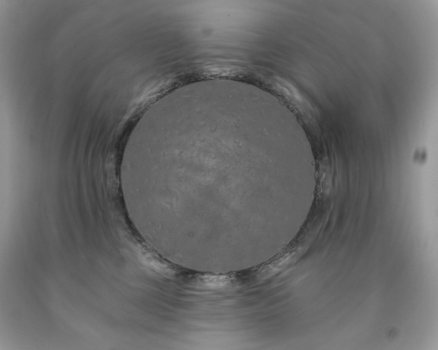 X0000094170377200710261114