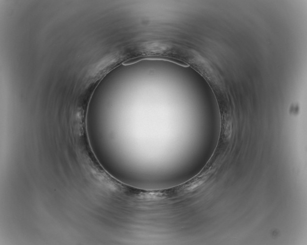 X0000094170378200710261114